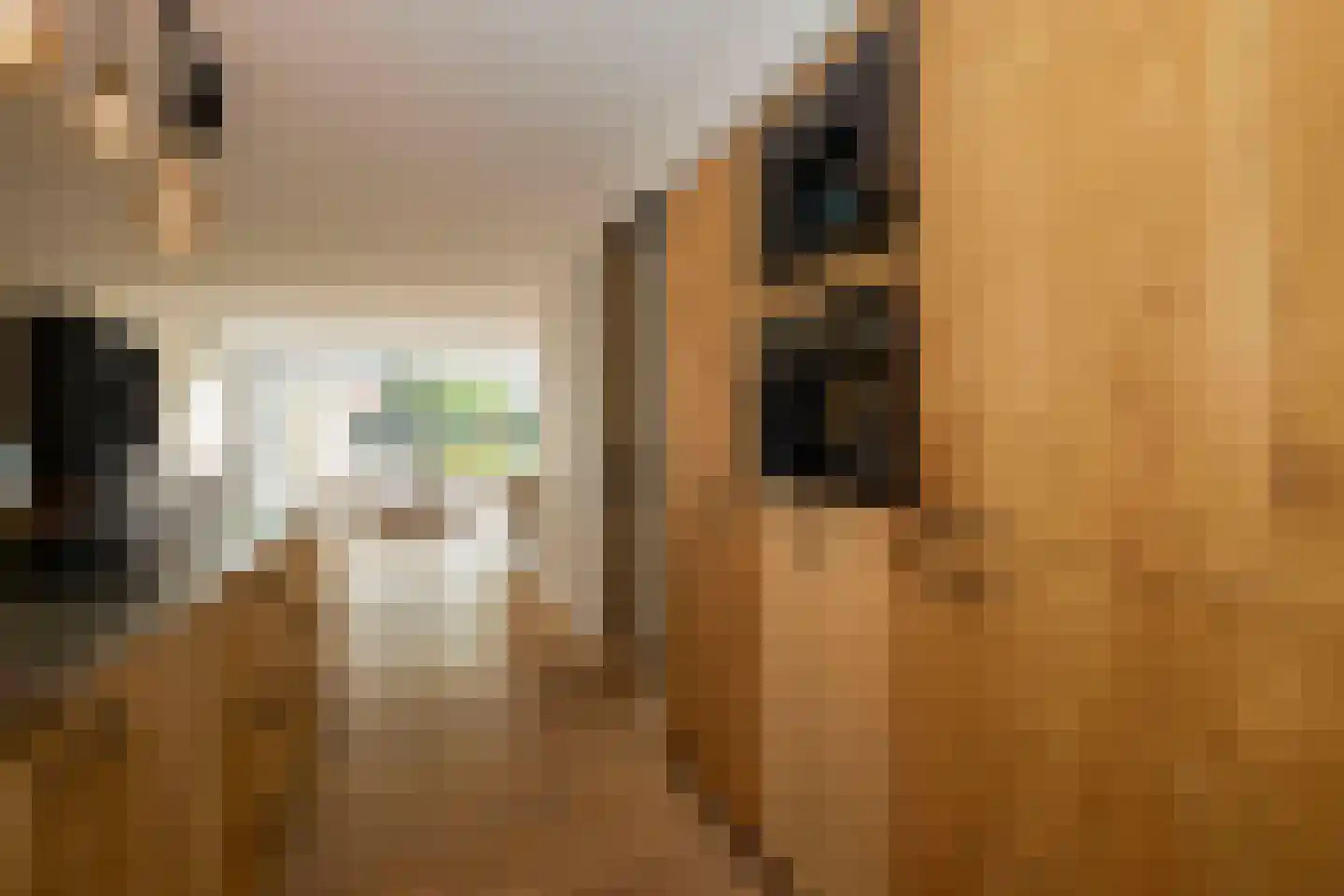 Lijnbaanweg 27 Noordwijk thumbnail 12