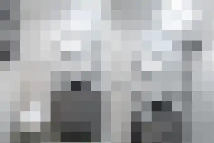 Lijnbaanweg 3 Noordwijk thumbnail 30