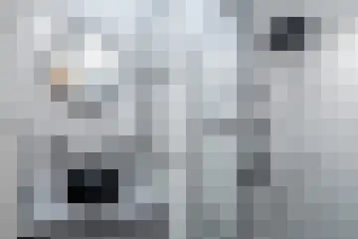 Lijnbaanweg 3 Noordwijk thumbnail 31