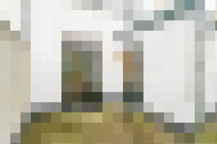 Lijnbaanweg 3 Noordwijk thumbnail 33
