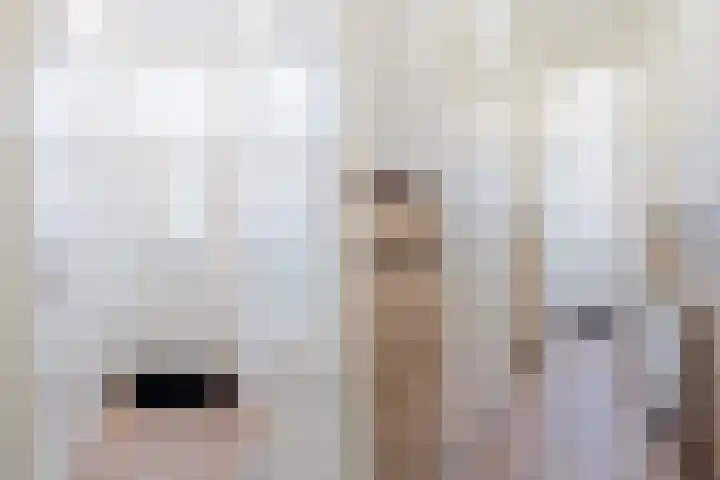 Lijnbaanweg 3 Noordwijk thumbnail 7