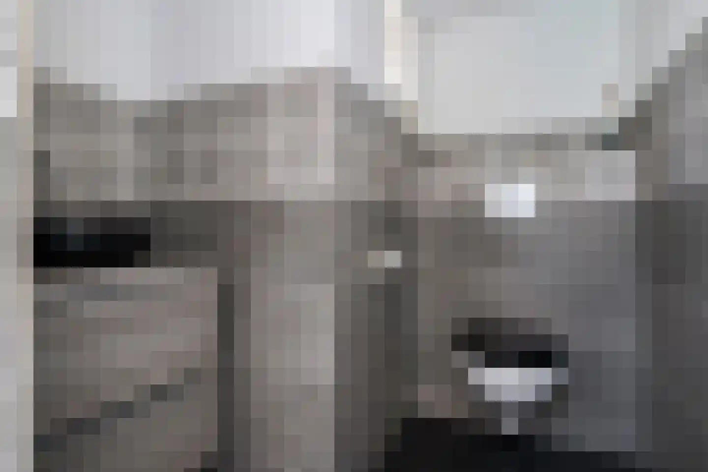 Lijnbaanweg 9 Noordwijk thumbnail 21