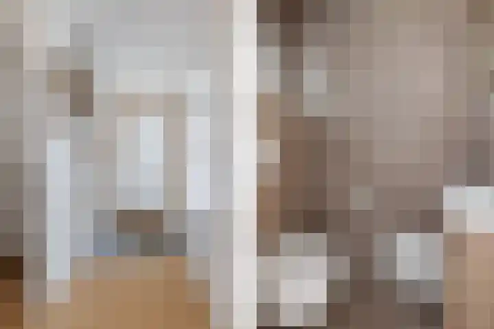 Lijndakker 12 Boxtel thumbnail 11