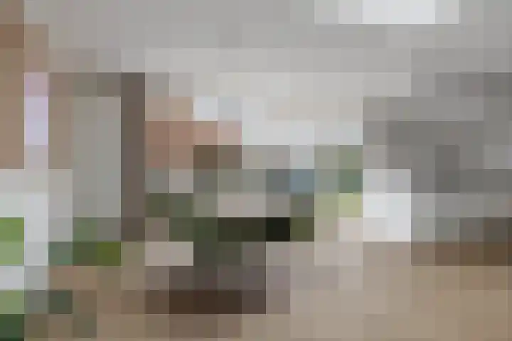 Lijndakker 12 Boxtel thumbnail 21