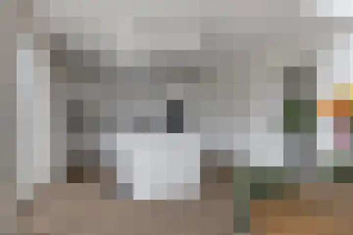 Lijndakker 12 Boxtel thumbnail 23