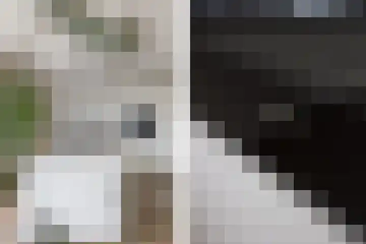 Lijndakker 12 Boxtel thumbnail 25