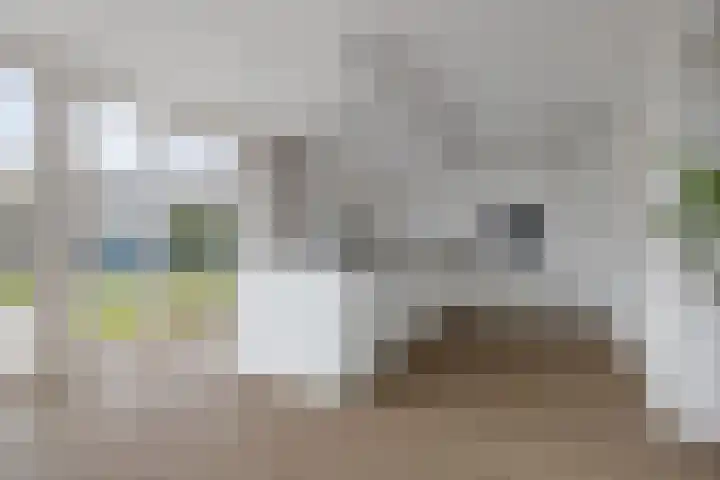 Lijndakker 12 Boxtel thumbnail 27