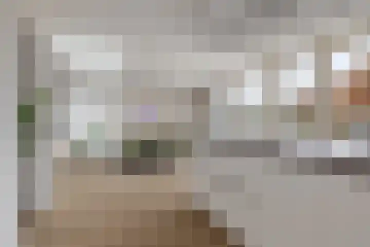 Lijndakker 12 Boxtel thumbnail 30