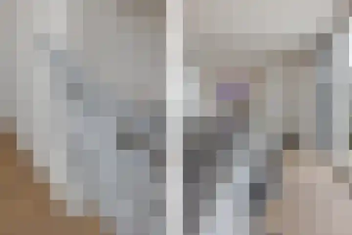 Lijndakker 12 Boxtel thumbnail 32