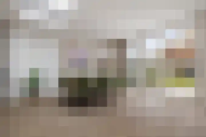 Lijndakker 12 Boxtel thumbnail 35