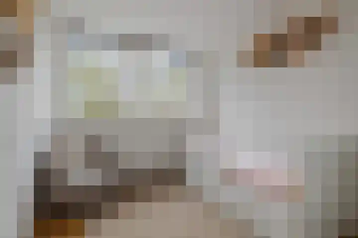 Lijndakker 12 Boxtel thumbnail 45