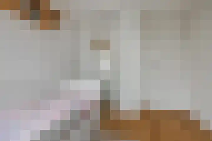 Lijndakker 12 Boxtel thumbnail 46