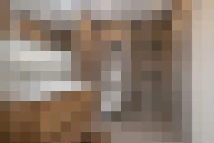 Lijndakker 12 Boxtel thumbnail 47
