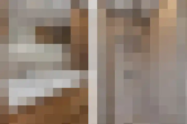 Lijndakker 12 Boxtel thumbnail 49