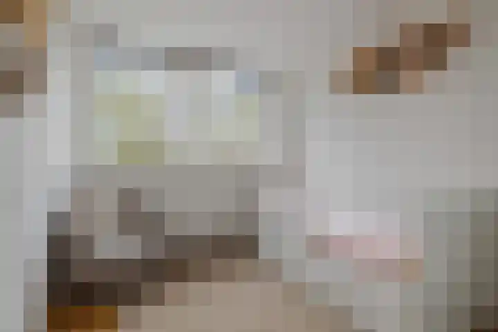 Lijndakker 12 Boxtel thumbnail 5