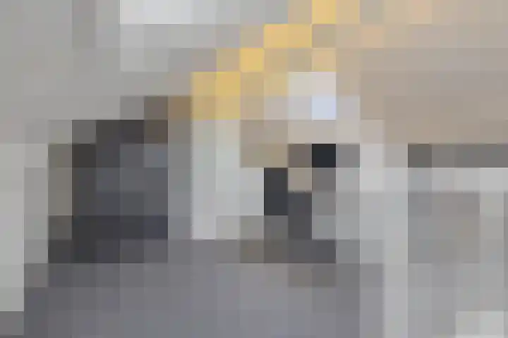 Lijndakker 12 Boxtel thumbnail 51
