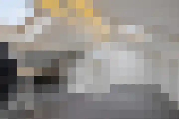 Lijndakker 12 Boxtel thumbnail 52
