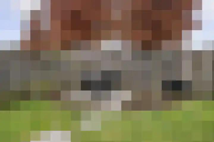 Lijndakker 12 Boxtel thumbnail 55