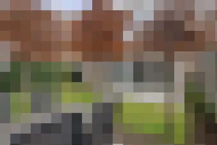 Lijndakker 12 Boxtel thumbnail 57