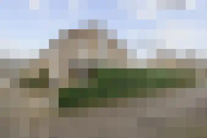 Lijndakker 12 Boxtel thumbnail 59