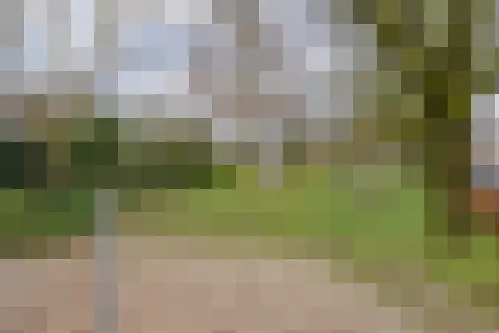 Lijndakker 12 Boxtel thumbnail 8