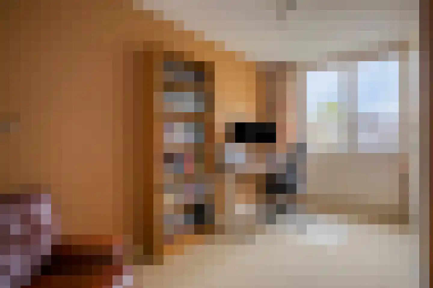 Lijndakker 6 Boxtel thumbnail 15