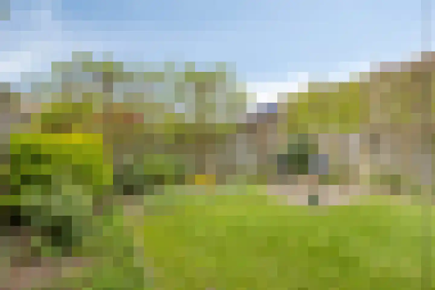 Lijndakker 6 Boxtel thumbnail 23