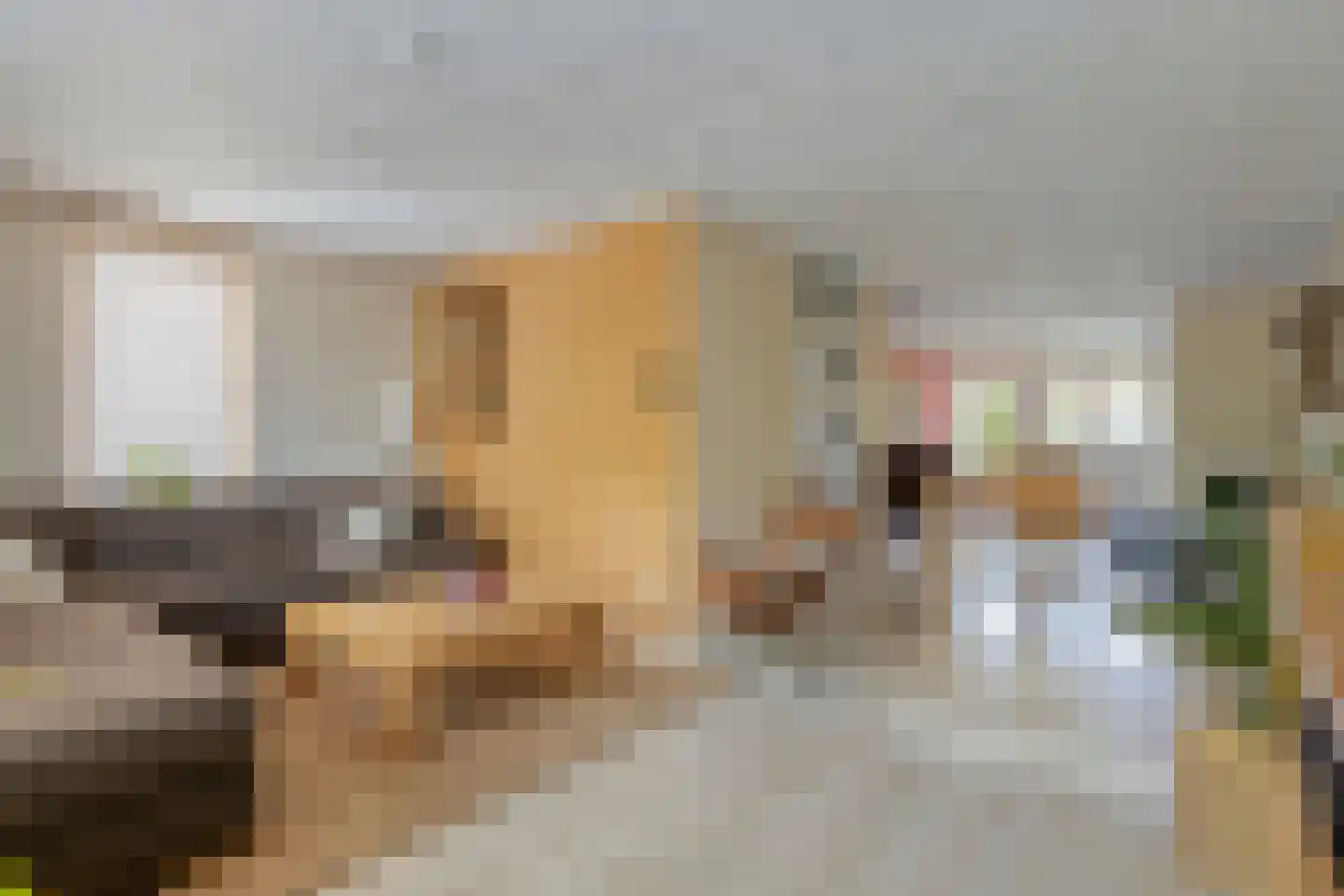 Lijndakker 6 Boxtel thumbnail 5