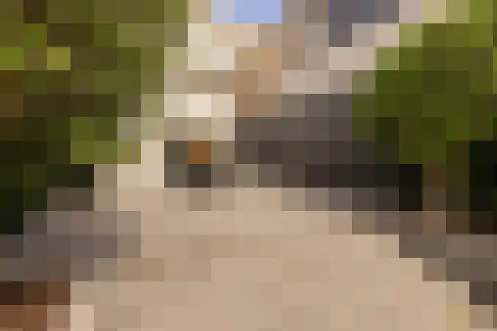 Lijnderdijk 10 Zwanenburg thumbnail 14