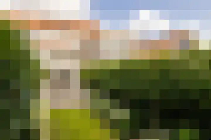 Lijnderdijk 10 Zwanenburg thumbnail 17