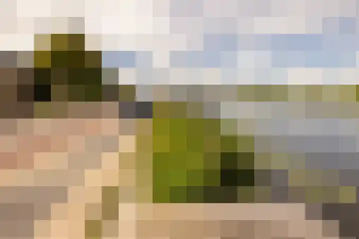 Lijnderdijk 10 Zwanenburg thumbnail 34