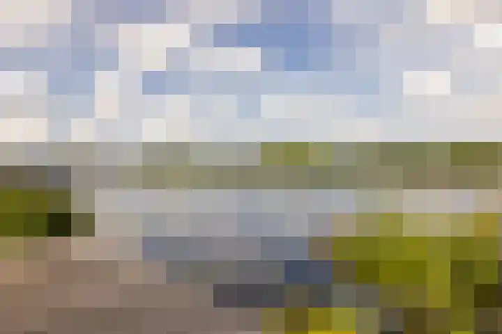 Lijnderdijk 10 Zwanenburg thumbnail 36