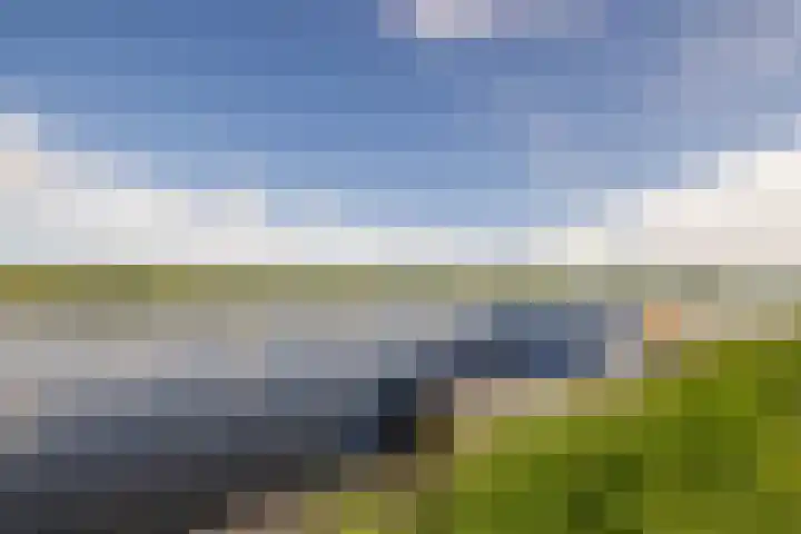 Lijnderdijk 10 Zwanenburg thumbnail 37