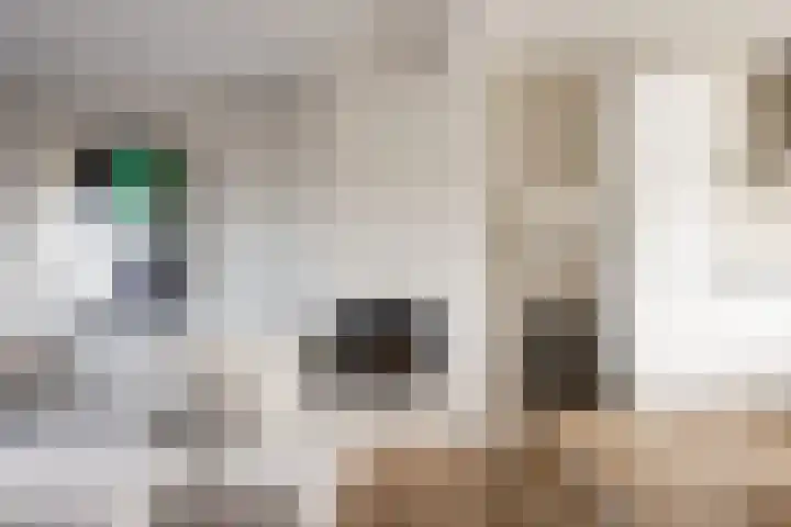 Lijnderdijk 10 Zwanenburg thumbnail 6