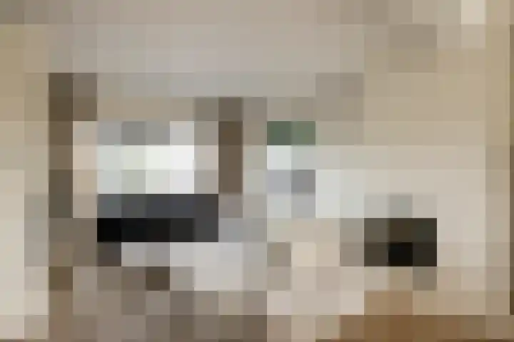 Lijnderdijk 10 Zwanenburg thumbnail 8