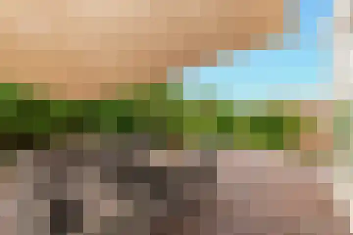 Lijnderdijk 12 Zwanenburg thumbnail 27