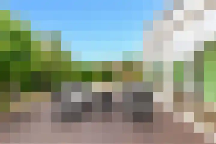 Lijnderdijk 12 Zwanenburg thumbnail 28