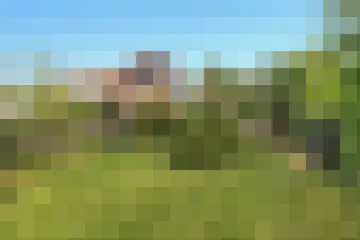Lijnderdijk 12 Zwanenburg thumbnail 30