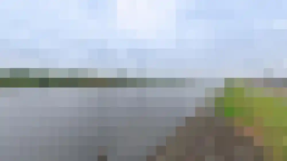 Lijnderdijk 152 Lijnden thumbnail 10