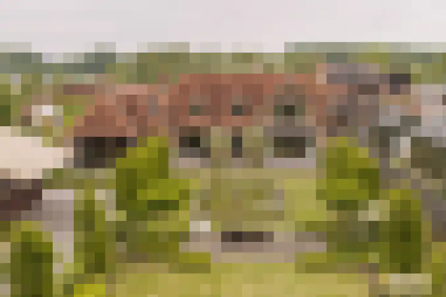 Lijnderdijk 180 Lijnden
