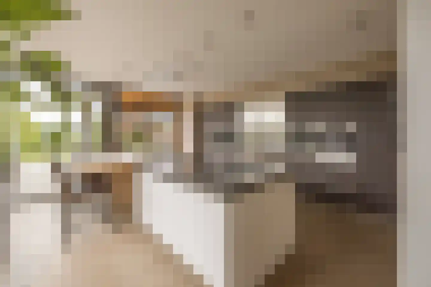 Lijnderdijk 180 Lijnden thumbnail 19