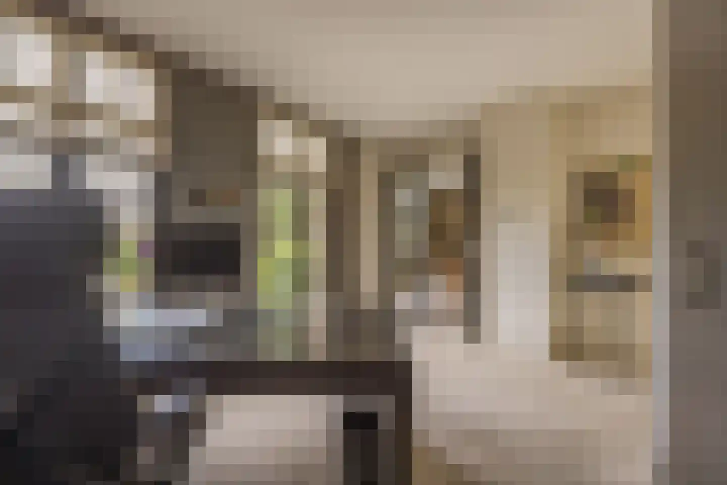 Lijnderdijk 180 Lijnden thumbnail 26