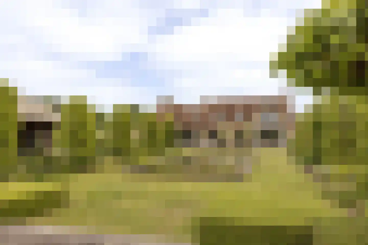 Lijnderdijk 180 Lijnden thumbnail 67