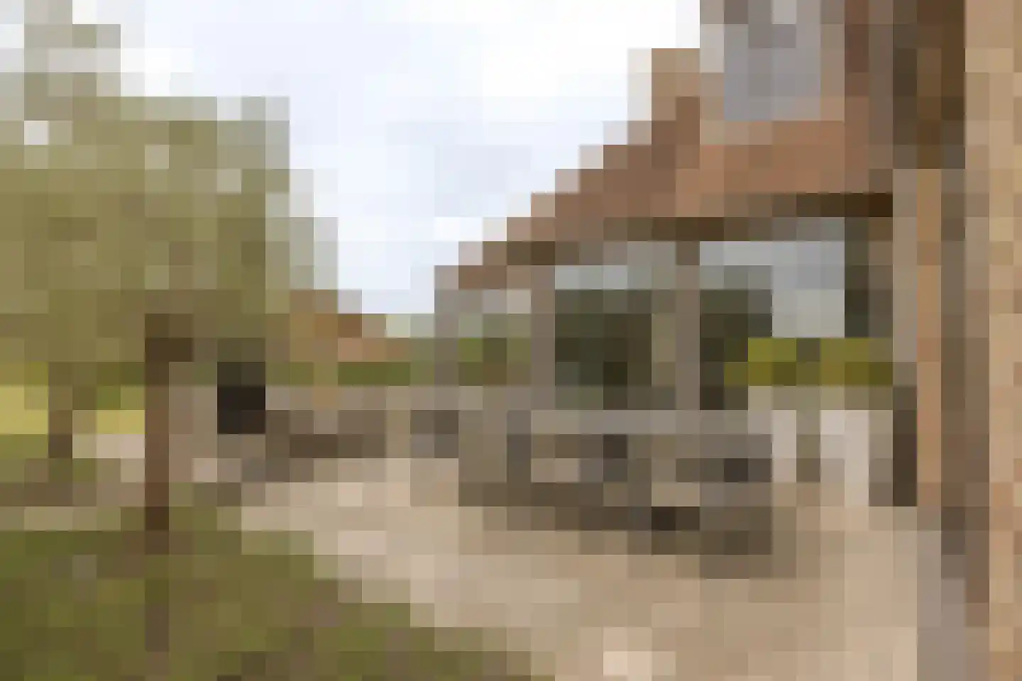 Lijnderdijk 180 Lijnden thumbnail 68
