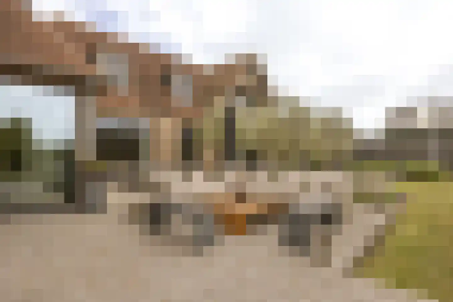 Lijnderdijk 180 Lijnden thumbnail 70