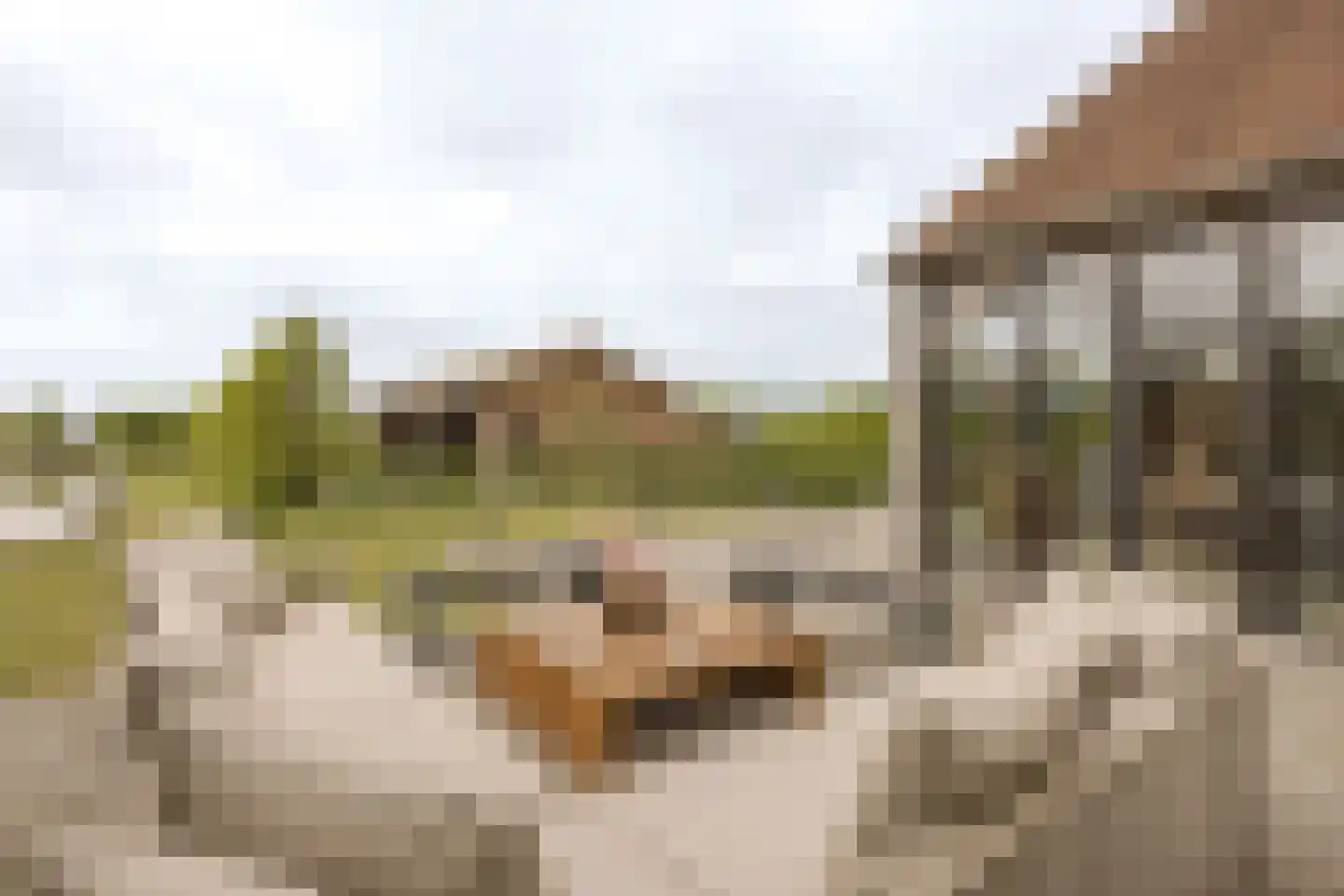 Lijnderdijk 180 Lijnden thumbnail 71