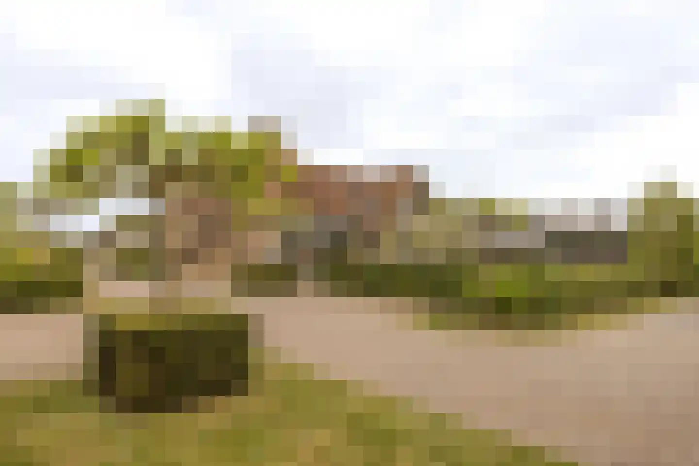 Lijnderdijk 180 Lijnden thumbnail 83