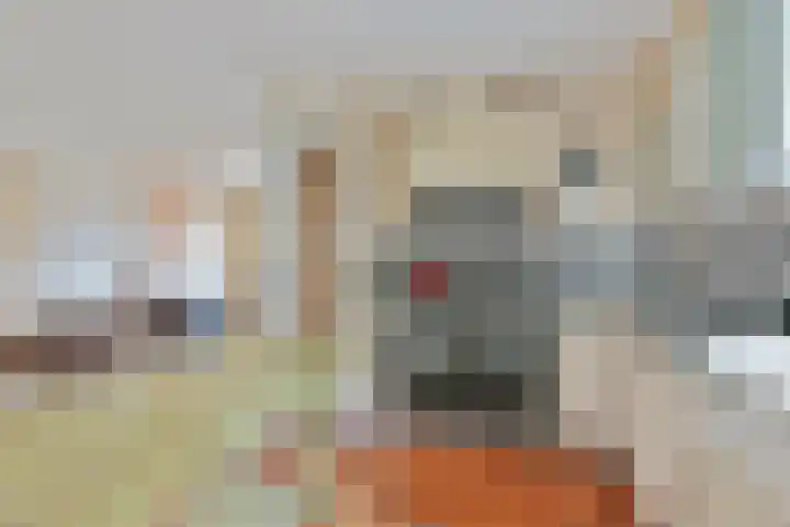 Lijnderdijk 20 Zwanenburg thumbnail 17