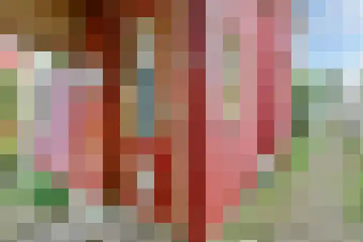 Lijnderdijk 20 Zwanenburg thumbnail 21