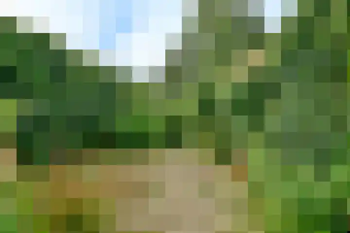 Lijnderdijk 20 Zwanenburg thumbnail 22